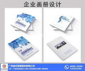 凌志營(yíng)銷策劃 專業(yè)企業(yè)畫冊(cè)設(shè)計(jì)與軟件開(kāi)發(fā)服務(wù)